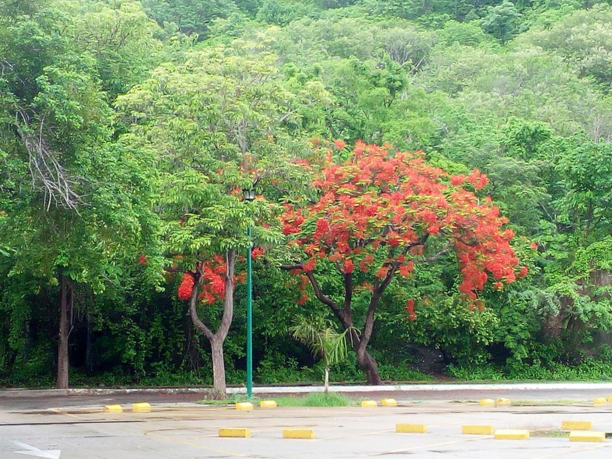 Camino Al Mar Santa Cruz Exterior foto